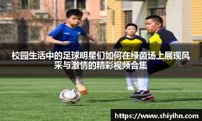 2016年：小熊队夺冠游行人数估计达500万，成为人类史上最大规模集会之一。