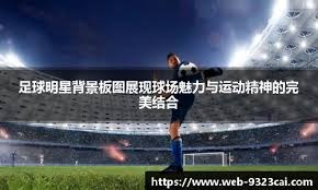 [法甲]第15轮：南特1-2朗斯 集锦